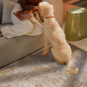 سجادة كلاسيك - ثراء | متجر ويفت للسجاد